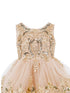 Girls Multi Color Lala & Erina Sleeveless Sequin Lace Flower Girl Dress 2-12 - SophiasStyle.com