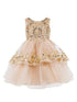 Girls Multi Color Lala & Erina Sleeveless Sequin Lace Flower Girl Dress 2-12 - SophiasStyle.com