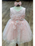 Baby Girls Lala & Erina Pink Lace Satin Flower Girl Dress 3-24M front