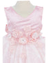 Baby Girls Lala & Erina Pink Lace Satin Flower Girl Dress 3-24M detail front
