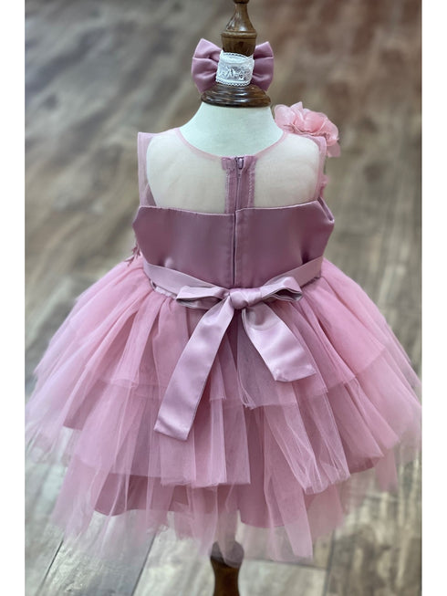 Baby Girls Lala & Erina Mauve Tulle Lace 3D Applique Flower Girl Dress 3-24M back
