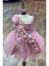 Baby Girls Lala & Erina Mauve Tulle Lace 3D Applique Flower Girl Dress 3-24M