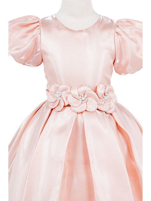 Girls Lala & Erina Blush Puff Sleeve Pleated Flower Girl Dress 2-12 - SophiasStyle.com detail