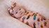 pina-colada-pineapple-swaddle Big Dreams Little Jammie Session Sophia's Style-2