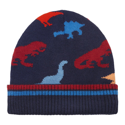 Navy Dino Hat & Gloves Set