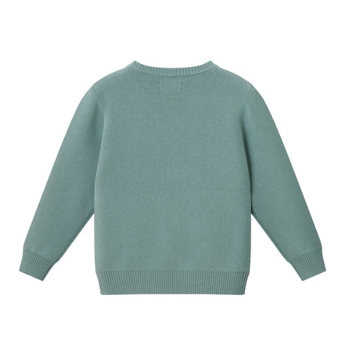 kids-graphic-sweater-green-camper Sophia's Style-5