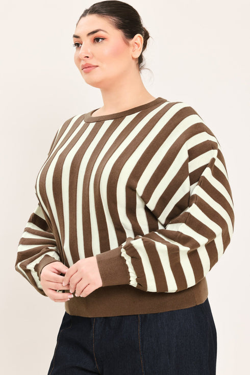 cappuccino-vertical-stripe-knit-top-sophias-style-11