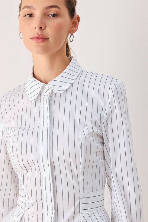 modernist-pinstripe-flared-waist-woven-top-sophias-style-4