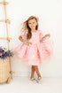fiona-pink-party-dress-layered-tha-dressing - Sophia's Style Baby & Toddler Dresses-1