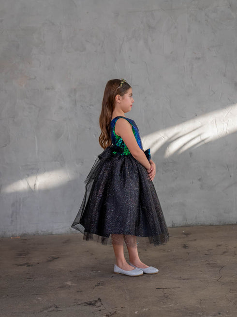 Girls A-Line Sequin Top Bow Waist V Back Tulle Flower Girl Dress 2-16