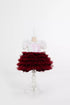 helena-white-burgundy-party-dress-tha-dressing - Sophia's Style -4