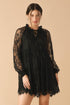 this-that-black-woven-lace-mini-dress Flying Tomato-Sophia's Style-3