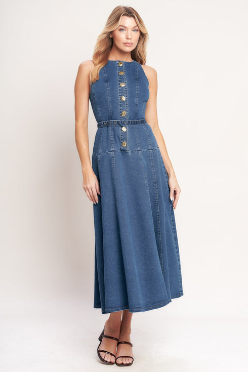 sunday-stroll-denim-midi-dress-sophias-style-4