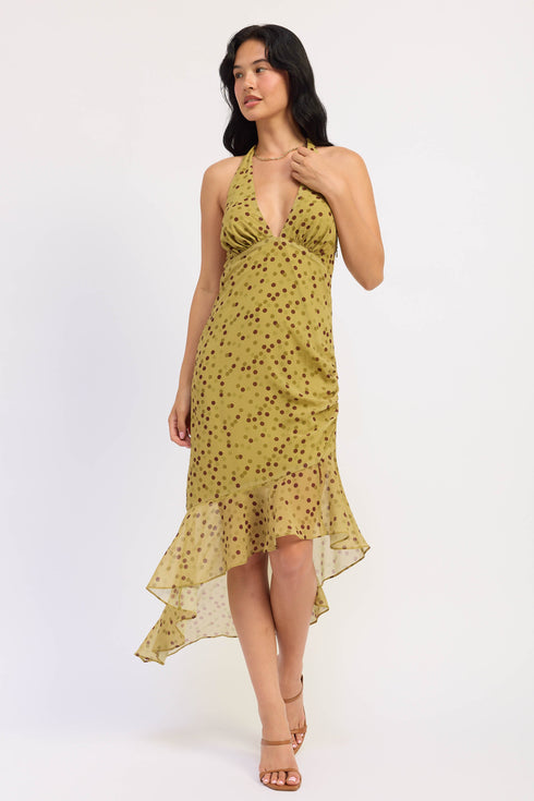 ivy-maxi-dress-emory-park-sophias-style-4