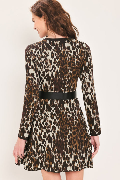 wildly-polished-leopard-belted-sweater-mini-dress-flying-tomato-sophias-style-6