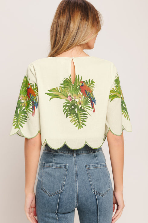 island-elegance-woven-crop-top-sophias-style-2