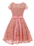 Girls Multi Color Sequin Lace Pearl Belt Skater Flower Girl Christmas Dress 2-14 - SophiasStyle.com