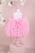 kaylee-pink-party-dress-tha-dressing - Sophia's Style -3