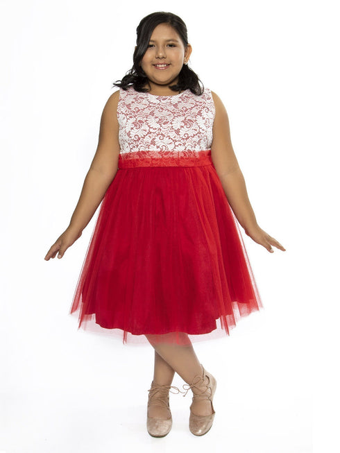 Big Girls Lace Tulle Plus Size Junior Bridesmaid Dress 18.5