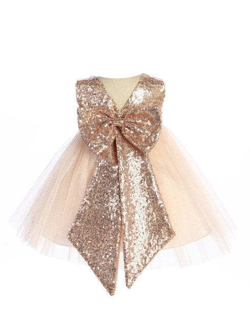 Baby Girls Blush Sequin Glitter Tulle Flower Girl Dress 6-24 Months back SophiasStyle.com