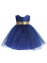 Baby Girls Royal Blue Gold Sequin Back Flower Girl Dress 6-24 Months front SophiasStyle.com