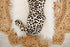 snuggle-swaddle-leopard Presley Couture at Sophia's Style--3