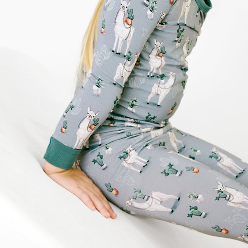 prickly-llama-long-sleeve-pjs Big Dreams Little Jammie Session Sophia's Style-2