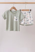Green Dinosaur Set