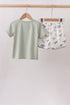 Green Dinosaur Set