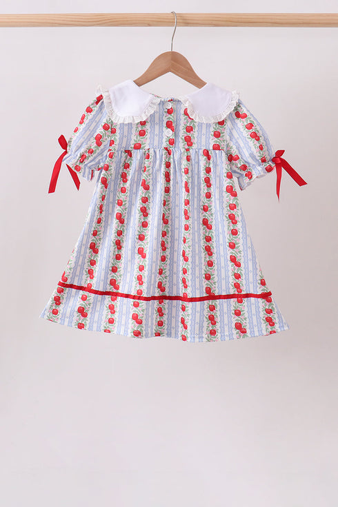red-apple-embroidered-dress-abby-evie-sophias-style-2