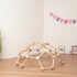 wooden-climbing-dome--Sophia's Style--6