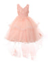 Girls Lace Applique Sequin Tulle Junior Bridesmaid Dress 2-12 - SophiasStyle.com