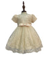 Baby Girls Sleeve Border Embroidery Elegant Tulle Flower Girl Dress 3-24M