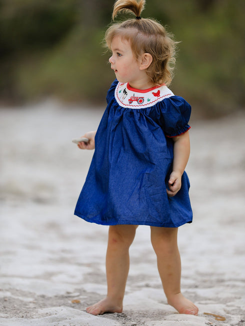 girls-farm-smocking-embroidered-blue-dress Rylee Faith Designs - Sophia's StyleDress-1
