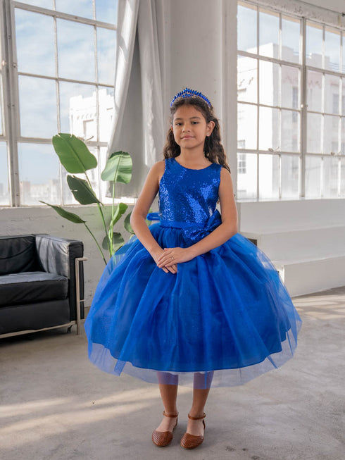 Girls A-Line Sequin Top Bow Waist V Back Tulle Flower Girl Dress 2-16