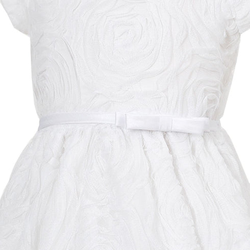 Baby Girls Rosette Textured Flower Girl Dress 6-24M - SophiasStyle.com
