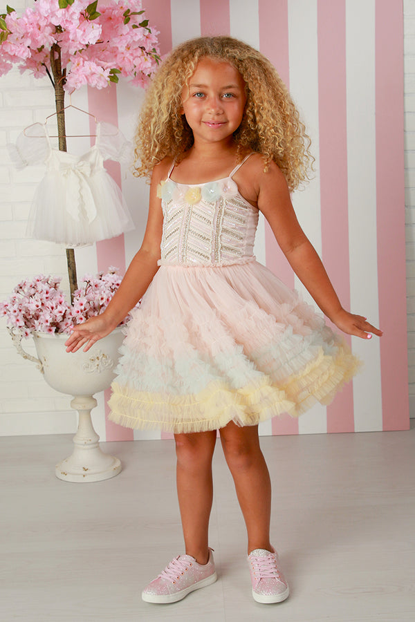 Girls Elodie Blush Multi Color Dress – Designer Girls Party Dress 12M-14