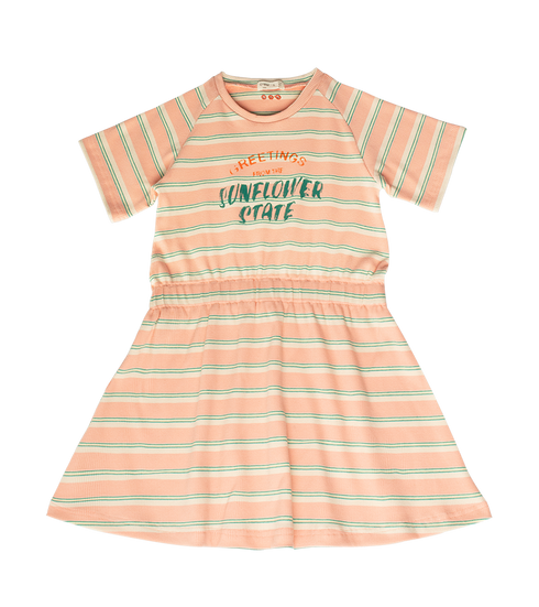 piper-dress-pink-crew-kids-sophias-styleDress-1