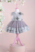 star-gray-party-dress-tha-dressing - Sophia's Style Baby & Toddler Dresses-1