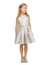 Girls Mint Polka Dot Metallic Jacquard Pleated Flower Girl Dress 2-16 - SophiasStyle.com model