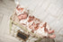 teddy-bear-baby-gown-adorable-sweetness-sophias-style-4
