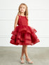 Girls Burgundy Glitter Horse Hair Ruffles Flower Girl Dress 2-12 SophiasStyle.com 2