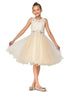 Lace Mesh Rhinestone Wired Flower Girl Dress 4-20 - SophiasStyle.com