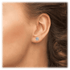 aria-cubic-zirconia-stud-earrings-Sophia's Style-2
