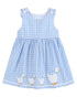 blue-gingham-goose-a-line-dress-lil-cactus-sophias-style-1