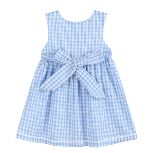 blue-gingham-goose-a-line-dress-lil-cactus-sophias-style-4