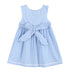 blue-gingham-goose-a-line-dress-lil-cactus-sophias-style-4