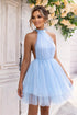 halter-neck-backless-mesh-dress-1 Sophia's Trends - Sophia's Style-Pastel Blue-M