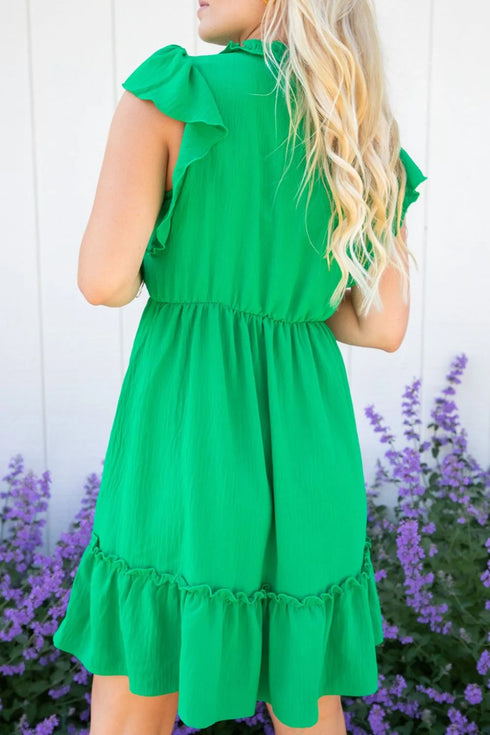 ruffled-sleeveless-mini-dress-Sophia's Style-3