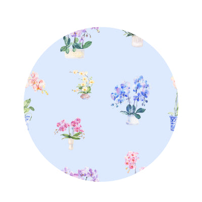 proud-to-be-yorchid-bow Big Dreams Little Jammie Session Sophia's Style-2